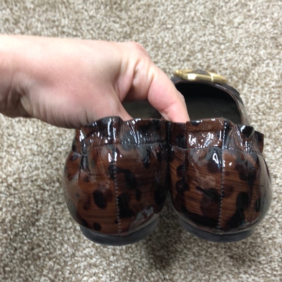 Ann Taylor Brown Leopard Buckle Flat - Picture 6 of 7